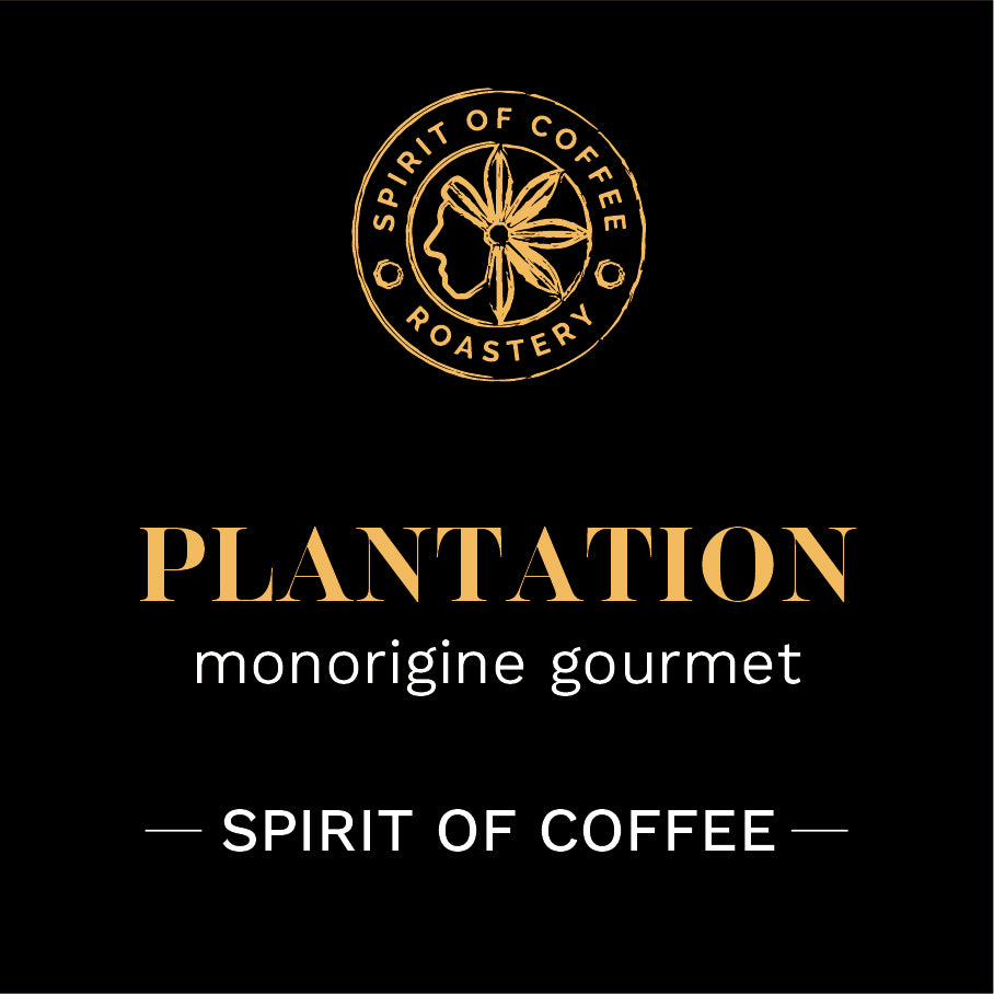 PLANTATION