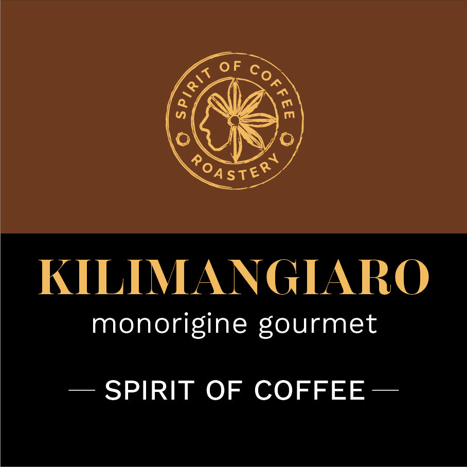 KILIMANGIARO