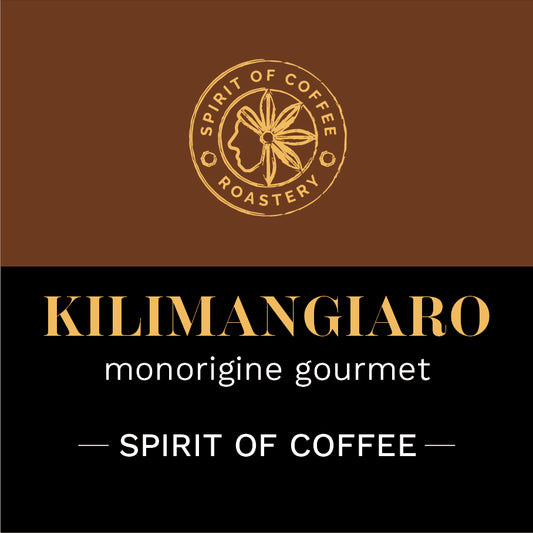 KILIMANGIARO