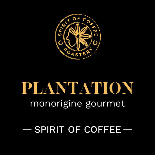 PLANTATION